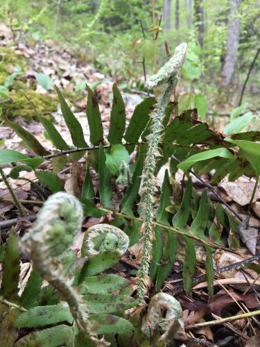 May 20, 2021