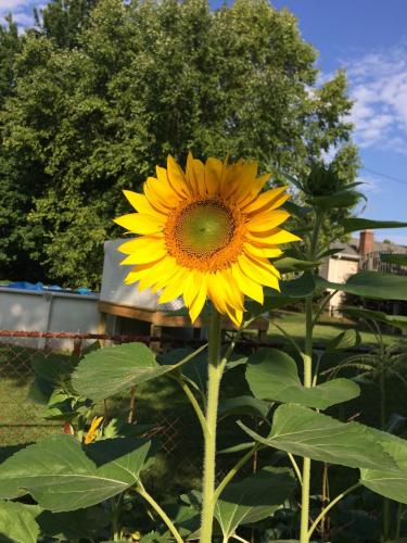 May 14, 2021