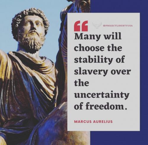 IMG_20210512_033252_141