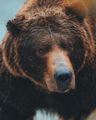 tumblr_2fba2c554afa6b0aa358f4244175d479_6a83a38a_1280