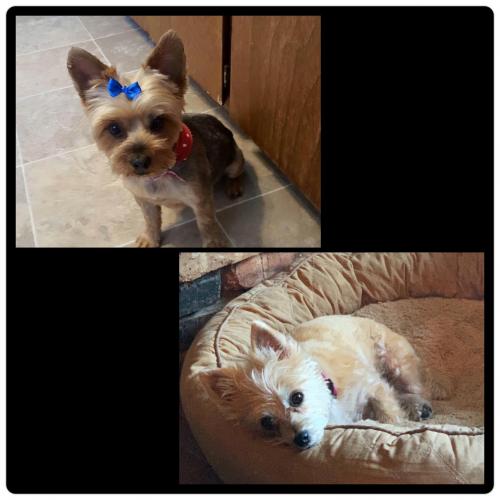 92180142-7375-4CF5-BA17-C51FBC293D77