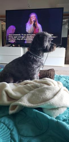 19:06:35 GMT-0400 (EDT)