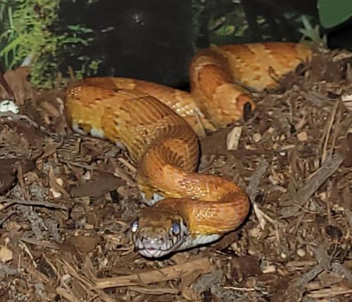 23:14:13 GMT-0400 (EDT)