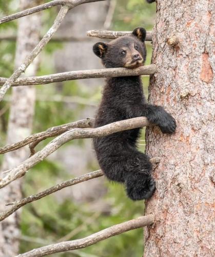 09:28:33 GMT-0500 (CDT)