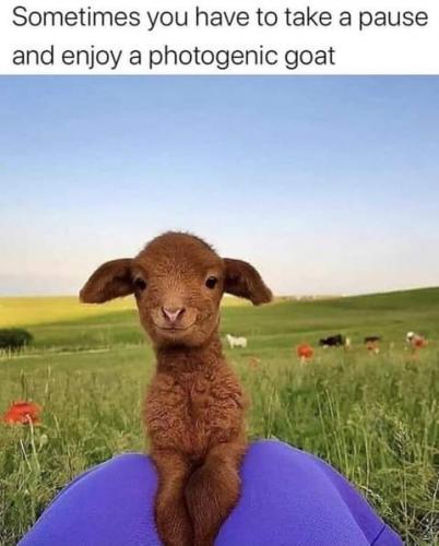 23:02:59 GMT-0700 (PDT)