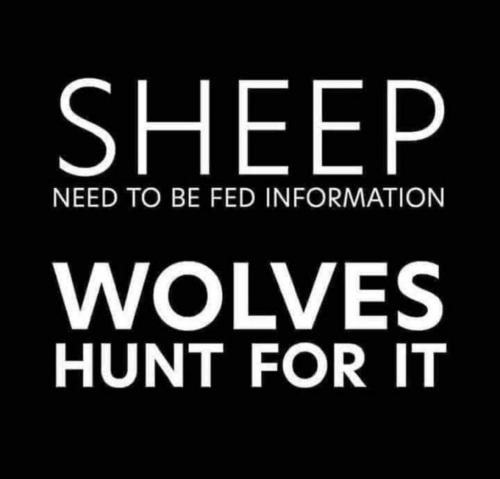 21:56:10 GMT-0400 (EDT).image