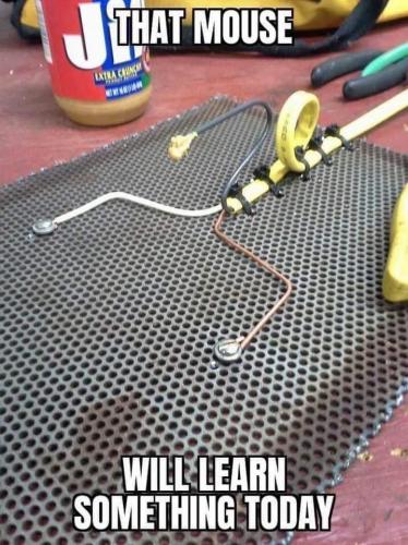 20:46:52 GMT-0500 (CDT)