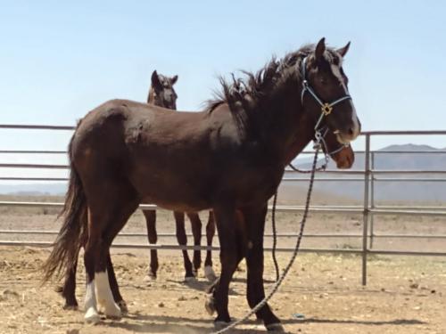 IMG_20210422_132732598