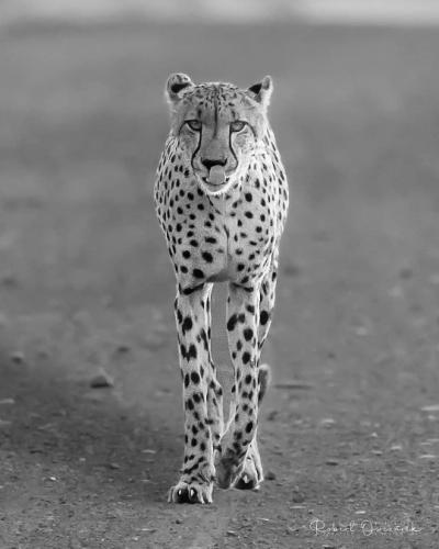 tumblr_c79da9adae3d278f2bcc36405e6db399_0da24495_540