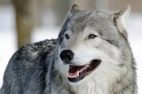 182605622_314661933561173_5135780660270417381_n