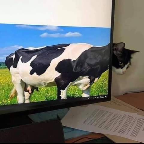 22:27:52 GMT-0700 (PDT)