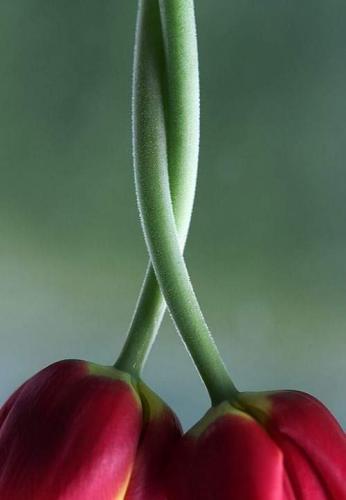 18:40:00 GMT-0500 (CDT)