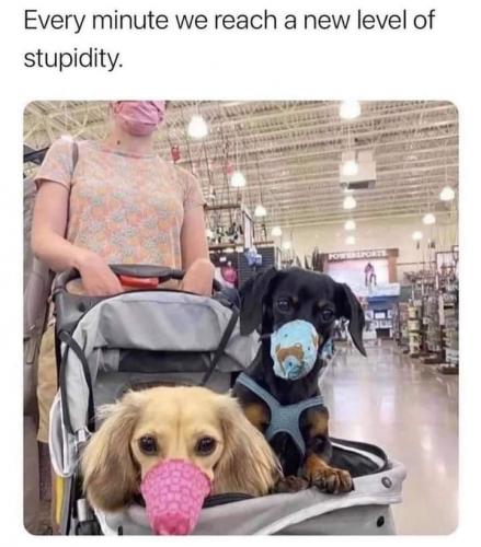 181231607_2934386553446700_946214126483204270_n