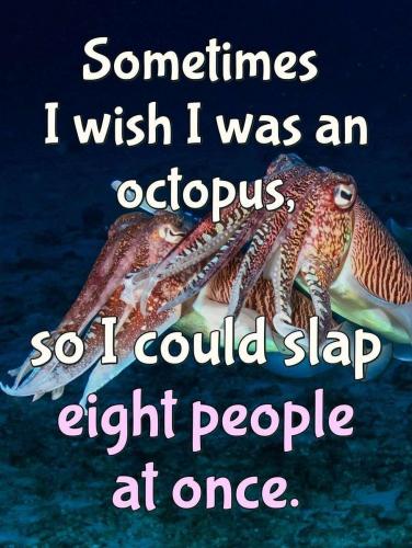 09:59:03 GMT-0400 (EDT)