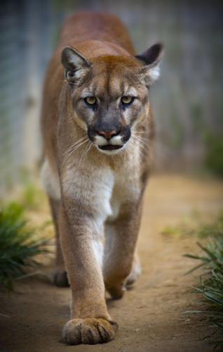 b31b0f566c75665f1295a59e1e78dba9