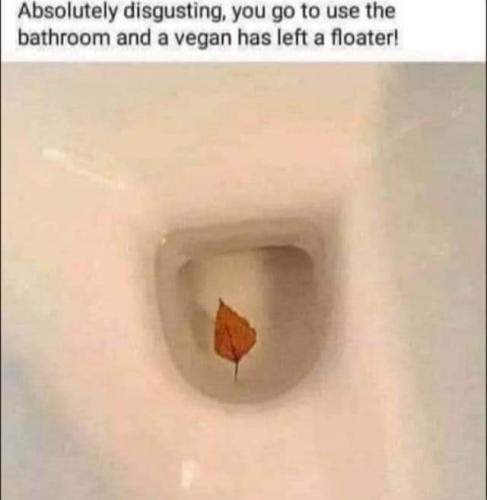 02:00:05 GMT-0400 (EDT)