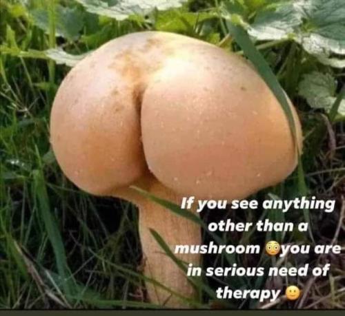 08:09:55 GMT-0400 (EDT)