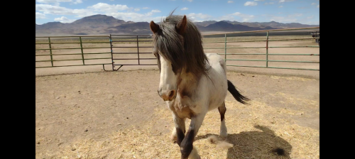 Screenshot_20210510-201948