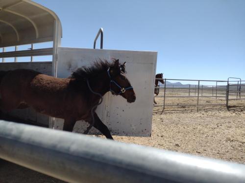 IMG_20210422_132055788