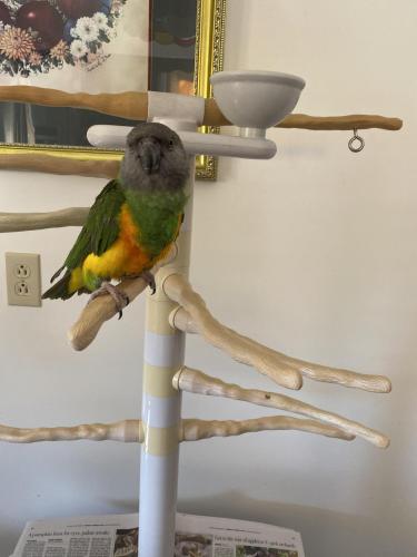 May 17, 2021