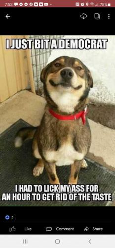 178594466_266946075176053_4335782974456914096_n