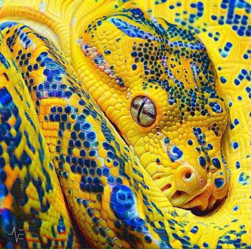 187597033_10219949604192411_3428697619942633544_n