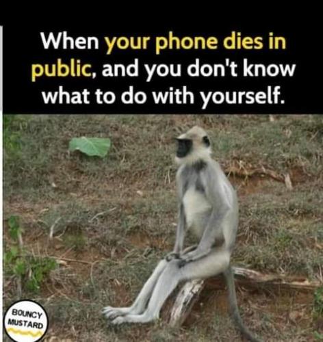 18:56:49 GMT-0700 (PDT)