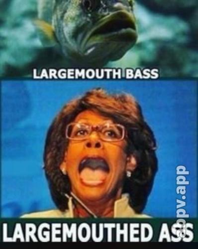 16:38:01 GMT-0400 (EDT).image