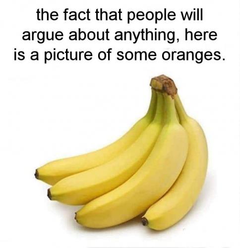 the fact that people will argue about anything