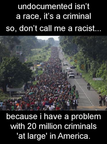 illegal immigration248