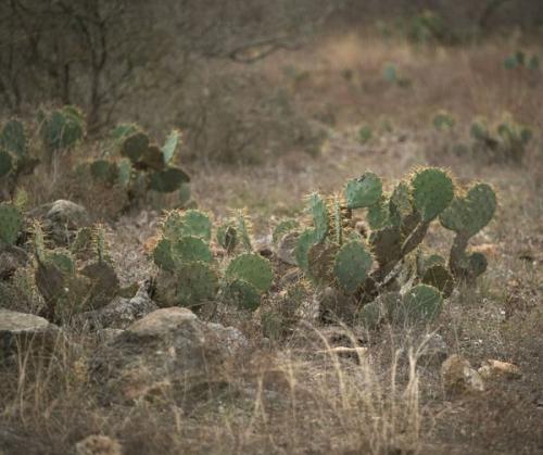 181505287_1769765739850061_6437252213774213149_n