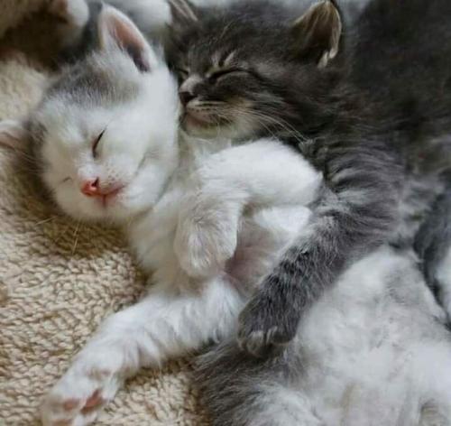 19:24:25 GMT-0500 (CDT)