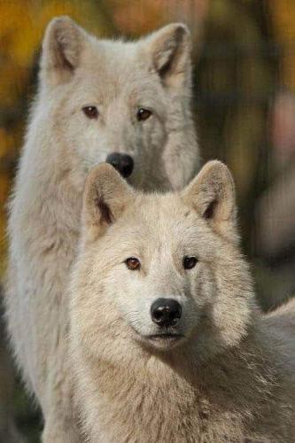 18:40:23 GMT-0500 (CDT)