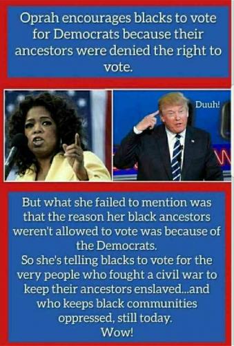 gTQN5CPLMGlqEi6mbafG_28_6add06704ab2a41b08a5e395ec8b1761_image