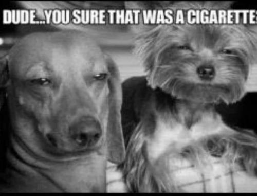 20:57:00 GMT-0700 (PDT).image