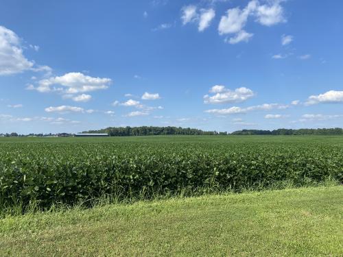 EEBE83F8-D328-4AC2-AD1F-AE4F658E941C