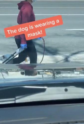 22:02:30 GMT-0400 (EDT).image