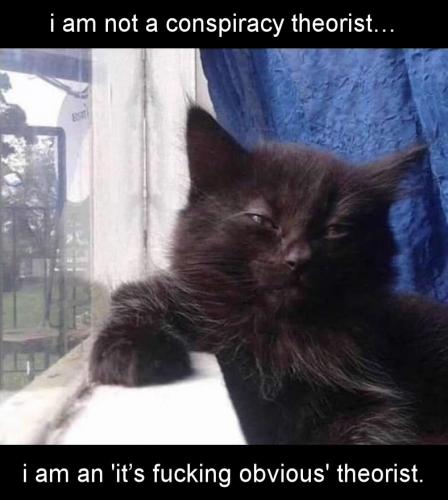 conspiracy theory25