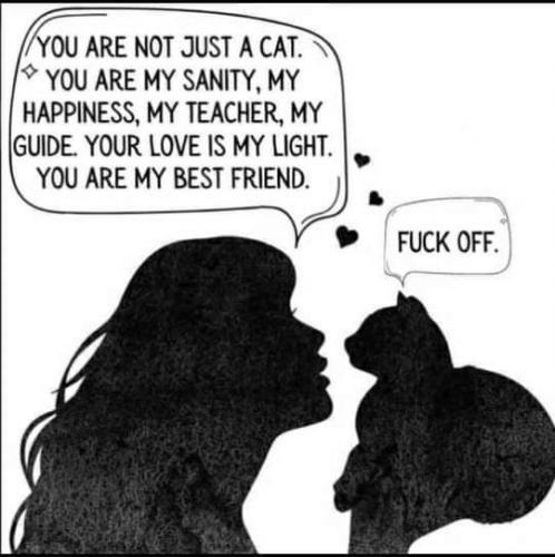 09:02:26 GMT-0400 (EDT)