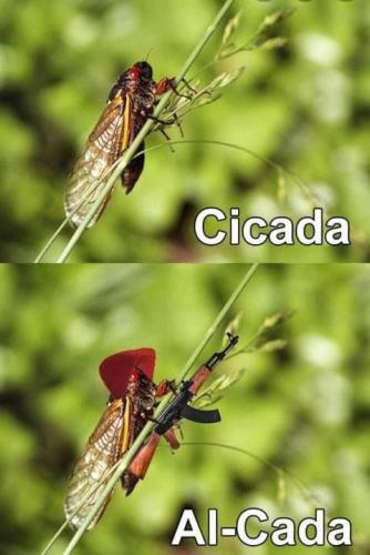 20:53:11 GMT-0700 (PDT)