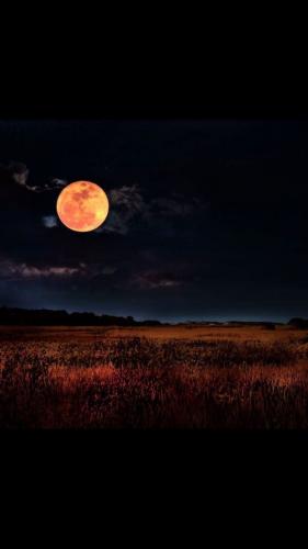 21:59:59 GMT-0500 (CDT)