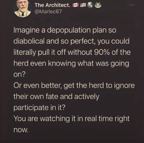 193558184_117017897229739_1845793230977929379_n