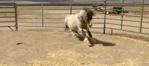 Screenshot_20210510-201723