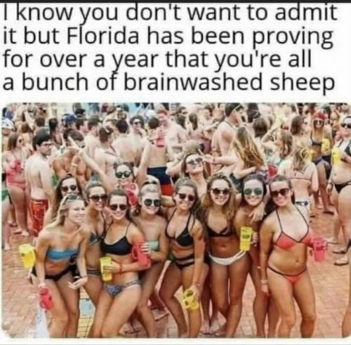 Screenshot_20210516-133526_Wimkin