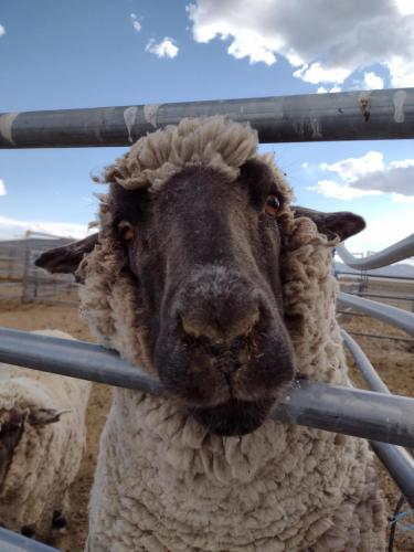 IMG_20210513_180248234