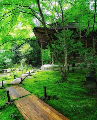 183066158_315934139902595_1874269224874580651_n