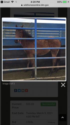 received_428276495131372