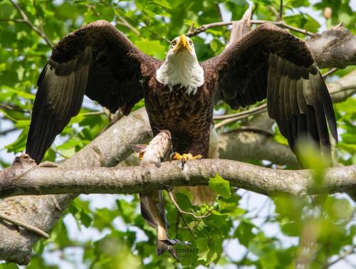 184011690_1397373123951653_8899709577792485062_n