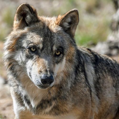 191023820_328863112141055_3518615915931567124_n