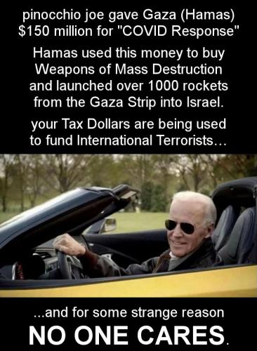 biden537